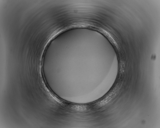 X0000097910802200804041500