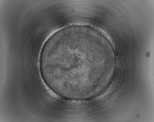 X0000097910803200804041500