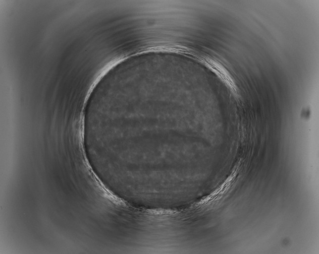 X0000097910804200804041500