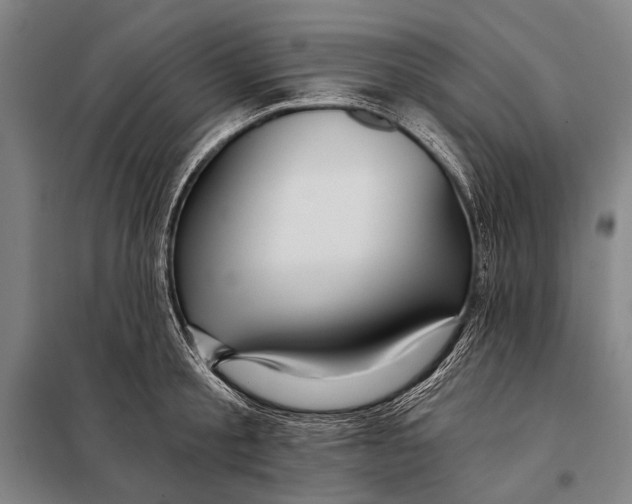 X0000097910805200804041500