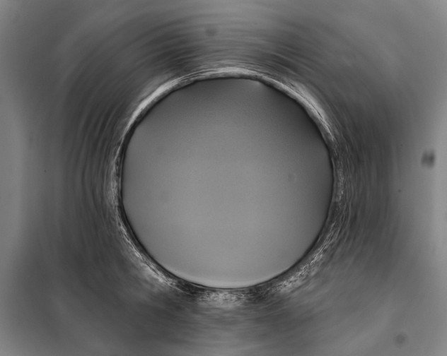 X0000097910806200804041500