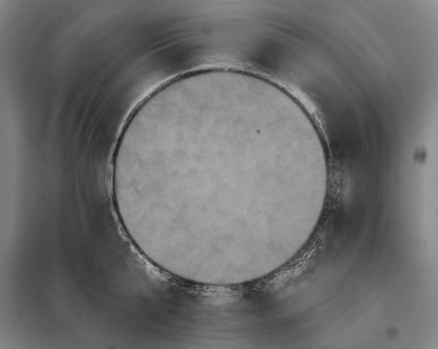 X0000097910807200804041500