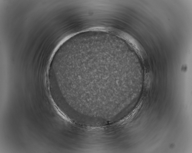 X0000097910808200804041500