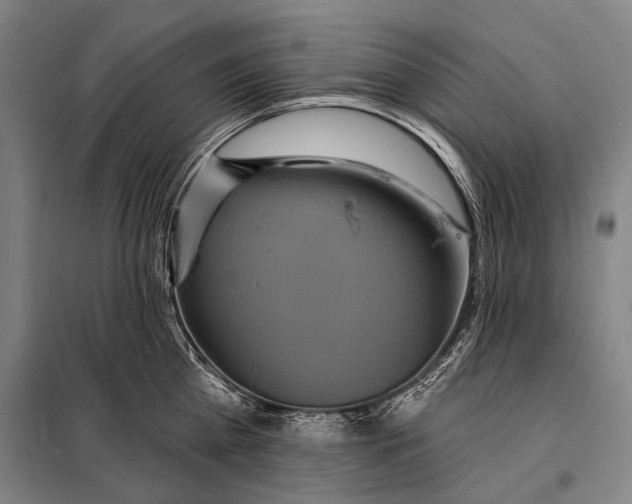 X0000097910809200804041500