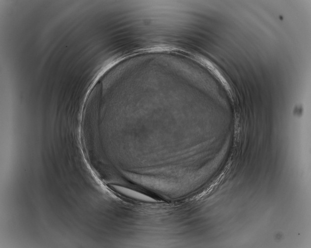 X0000097910810200804041500