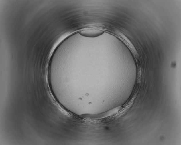 X0000097910812200804041500