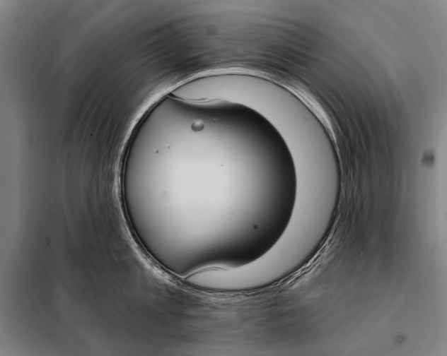 X0000097910813200804041500