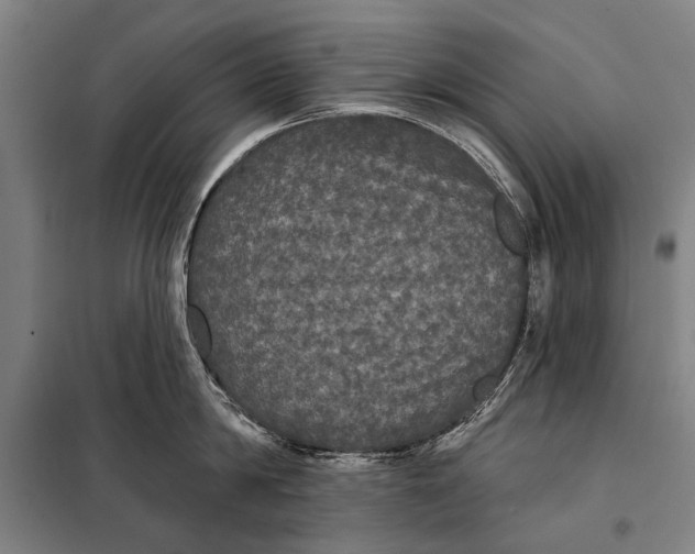 X0000097910814200804041500