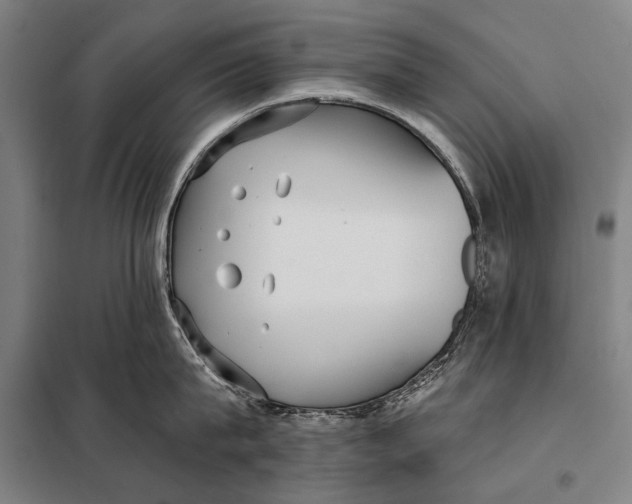 X0000097910815200804041500