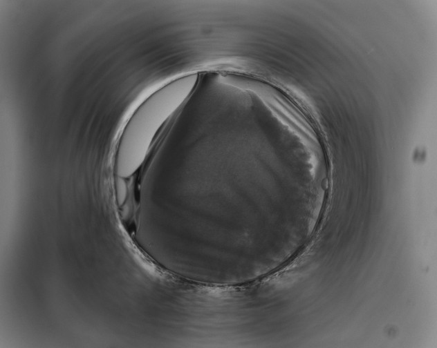 X0000097910816200804041500