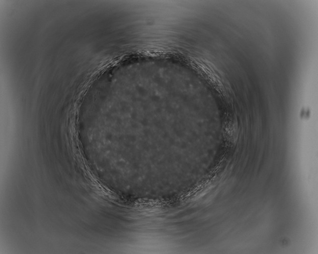 X0000097910817200804041459