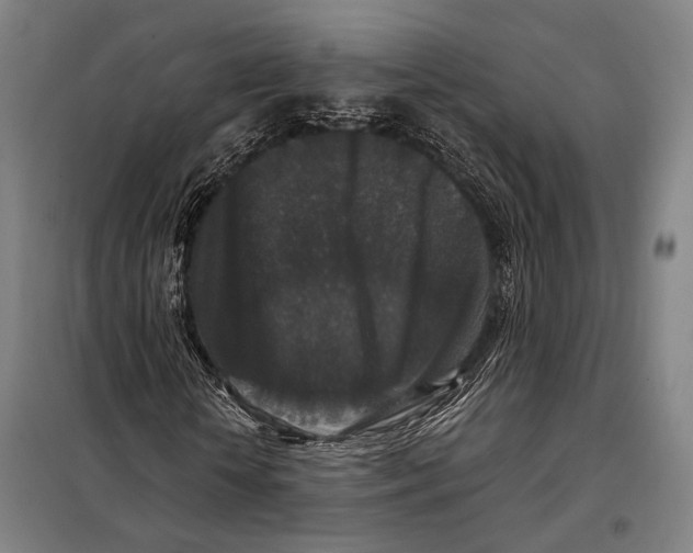 X0000097910818200804041459