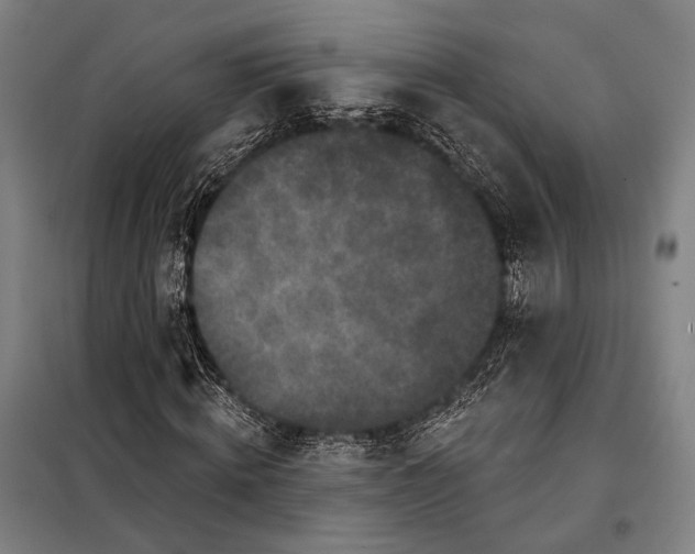 X0000097910820200804041459