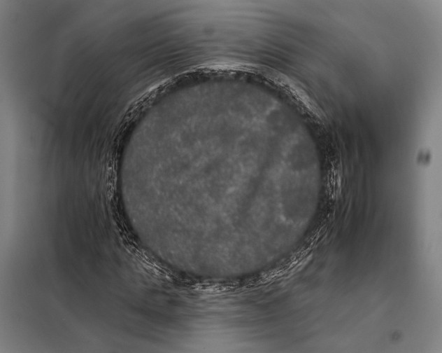 X0000097910821200804041459