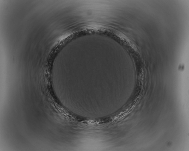 X0000097910822200804041459