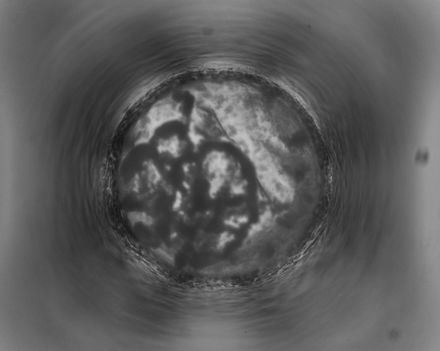 X0000097910823200804041459