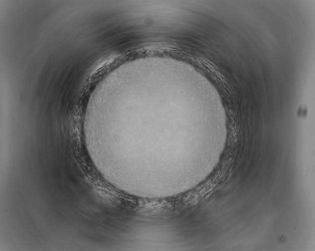 X0000097910824200804041459