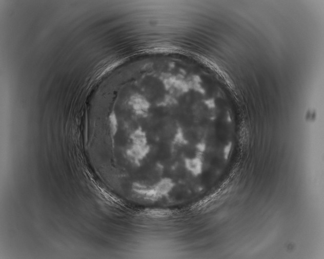 X0000097910825200804041459