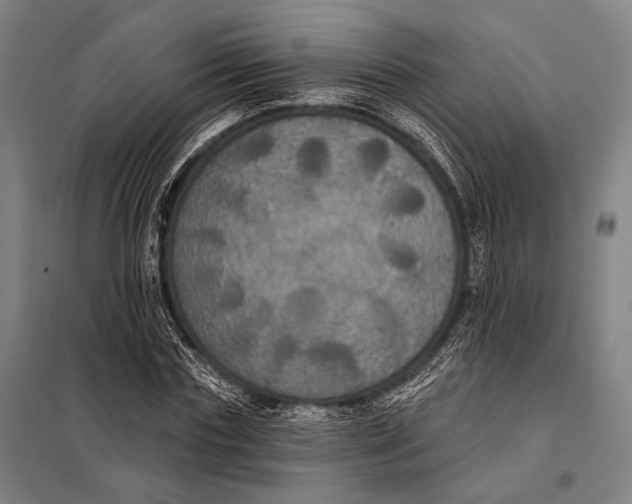 X0000097910827200804041459