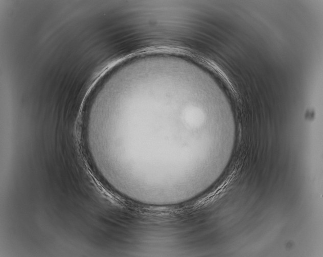 X0000097910828200804041459