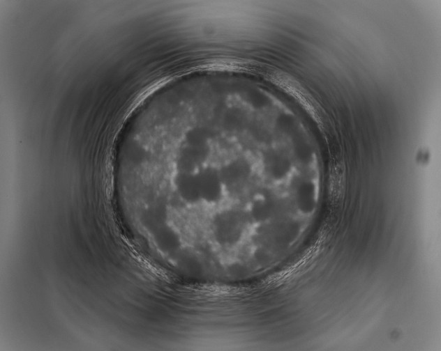 X0000097910829200804041459