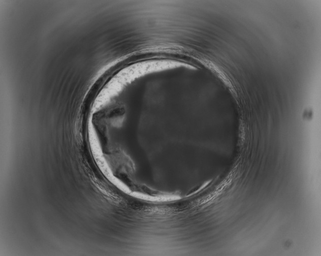 X0000097910830200804041459