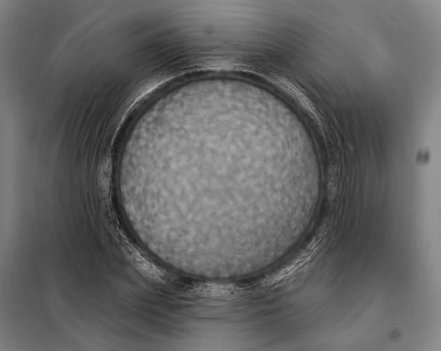 X0000097910831200804041459