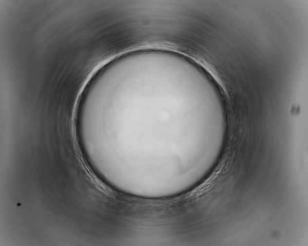 X0000097910832200804041459