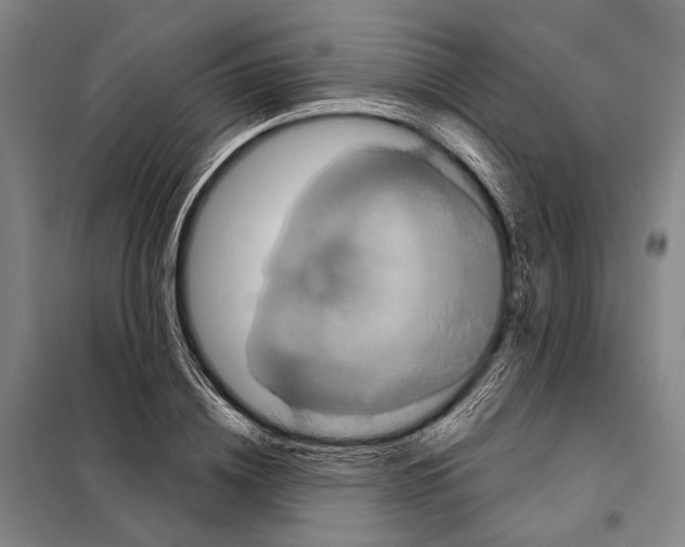 X0000097910836200804041459