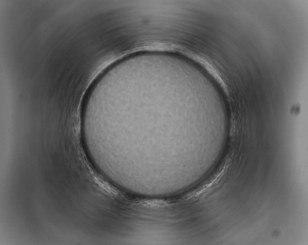 X0000097910837200804041459