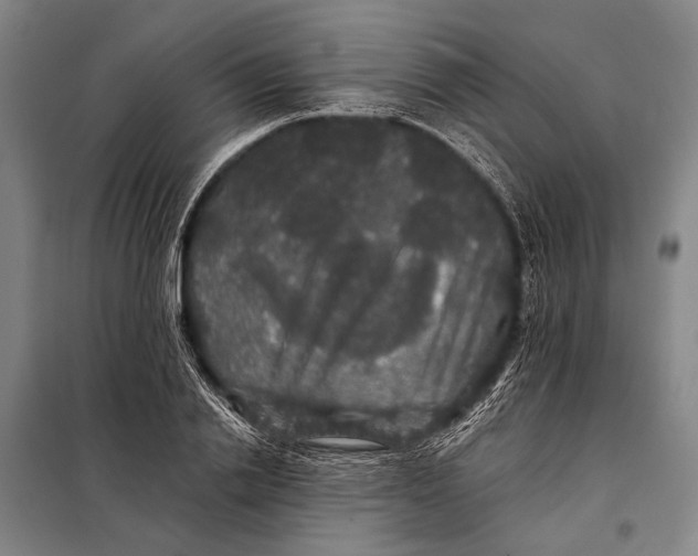 X0000097910838200804041459