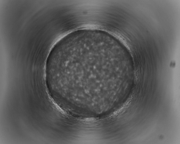 X0000097910839200804041459