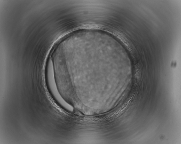 X0000097910840200804041459