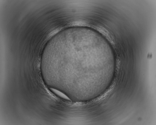 X0000097910841200804041459