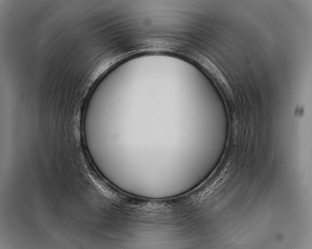 X0000097910842200804041459