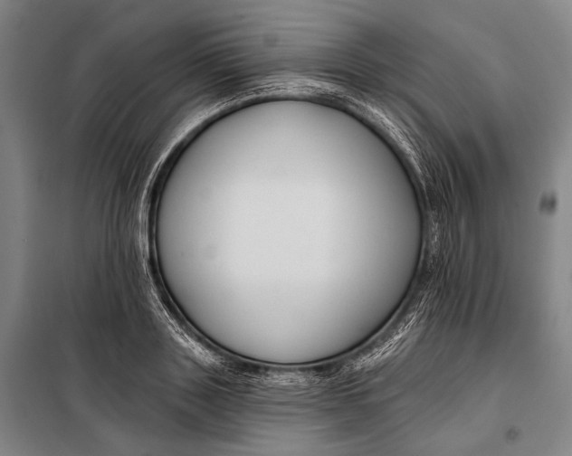 X0000097910843200804041459