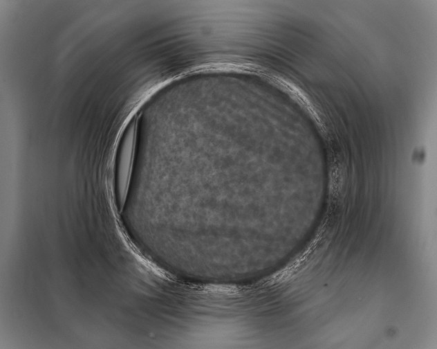 X0000097910844200804041459