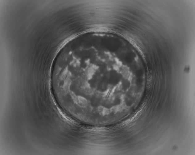 X0000097910845200804041500