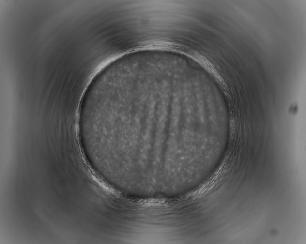 X0000097910846200804041500