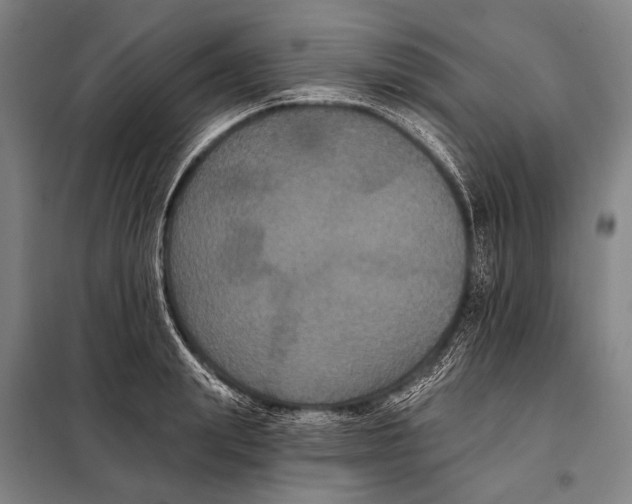 X0000097910847200804041500