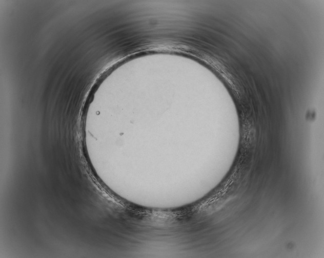 X0000097910848200804041500