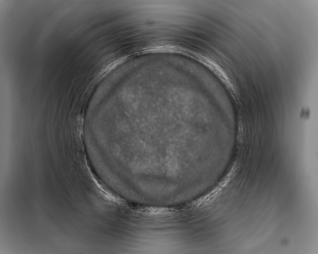 X0000097910849200804041500