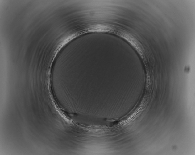 X0000097910850200804041500