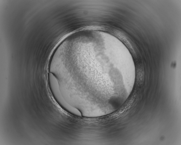 X0000097910852200804041500