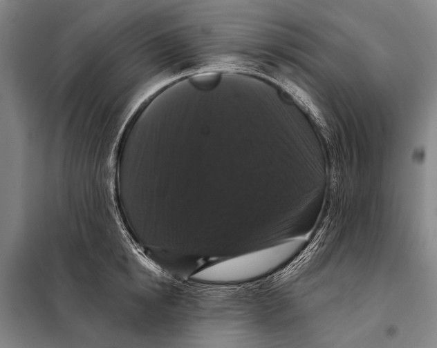 X0000097910854200804041500