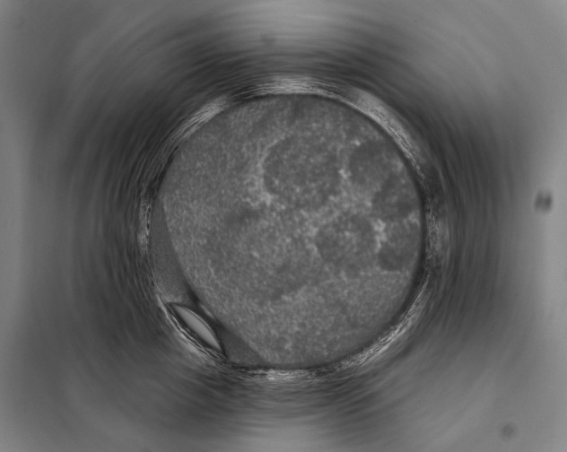 X0000097910857200804041500