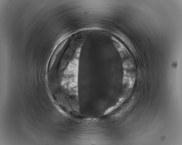 X0000097910858200804041500