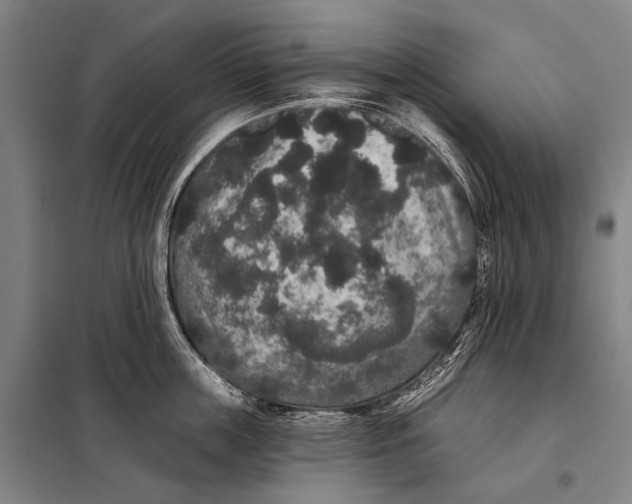 X0000097910859200804041500