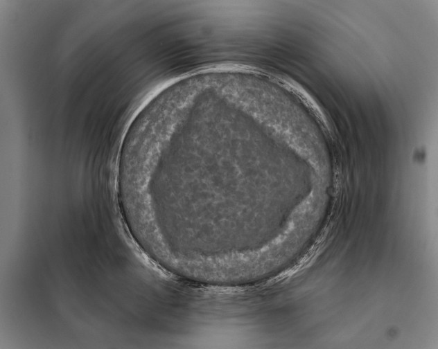 X0000097910860200804041500