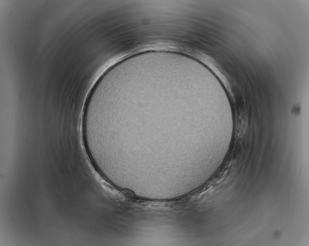 X0000097910861200804041500